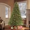6.5ft. Pre-Lit Fraser Fir Artificial Christmas Tree, Clear Lights